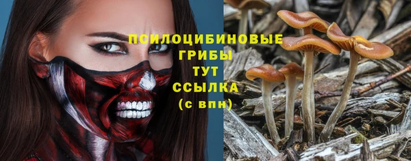 дурь Алексеевка