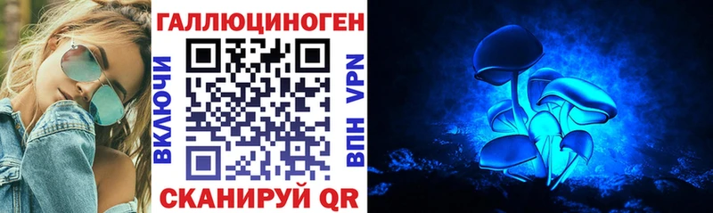 Галлюциногенные грибы Psilocybine cubensis  цены   Касли 