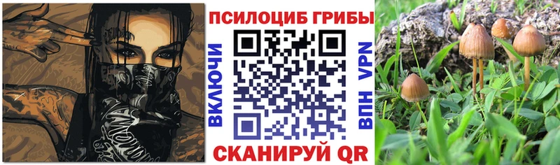 Псилоцибиновые грибы Cubensis Касли